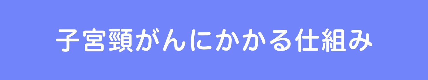 子宮頸がんにかかる仕組み